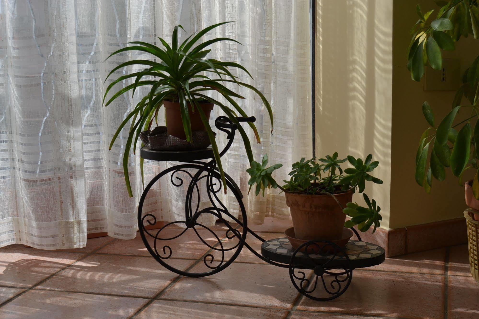 Bed & Breakfast Marena Sant'Agata Li Battiati Екстер'єр фото
